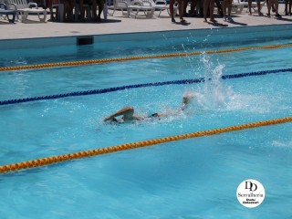 
<a style='margin-left: 5px;' class='btn btn-xs btn-social btn-facebook' href='https://www.facebook.com/sharer/sharer.php?u=https://www.boladovale.com.br/imgs/800-800-90/conteudo/fotos/1765/img1438-8.jpg' rel='popup' data-width='500' data-height='400'><i class='fa fa-facebook'></i>Compartilhar <span class='hidden-xs'>no Facebook</span>
</a> 
<a class='btn btn-default btn-xs' target='_blank' href='imgs/800-800-90/conteudo/fotos/1765/img1438-8.jpg'>
<span class='glyphicon glyphicon-cloud-download'></span> Salvar
</a> 
<span></span>