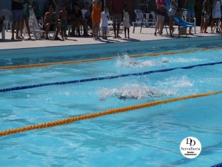 
<a style='margin-left: 5px;' class='btn btn-xs btn-social btn-facebook' href='https://www.facebook.com/sharer/sharer.php?u=https://www.boladovale.com.br/imgs/800-800-90/conteudo/fotos/1765/img1438-95.jpg' rel='popup' data-width='500' data-height='400'><i class='fa fa-facebook'></i>Compartilhar <span class='hidden-xs'>no Facebook</span>
</a> 
<a class='btn btn-default btn-xs' target='_blank' href='imgs/800-800-90/conteudo/fotos/1765/img1438-95.jpg'>
<span class='glyphicon glyphicon-cloud-download'></span> Salvar
</a> 
<span></span>