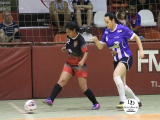 
<a style='margin-left: 5px;' class='btn btn-xs btn-social btn-facebook' href='https://www.facebook.com/sharer/sharer.php?u=https://www.boladovale.com.br/imgs/800-800-90/conteudo/fotos/1799/img4309.jpg' rel='popup' data-width='500' data-height='400'><i class='fa fa-facebook'></i>Compartilhar <span class='hidden-xs'>no Facebook</span>
</a> 
<a class='btn btn-default btn-xs' target='_blank' href='imgs/800-800-90/conteudo/fotos/1799/img4309.jpg'>
<span class='glyphicon glyphicon-cloud-download'></span> Salvar
</a> 
<span></span>