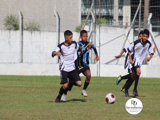 
<a style='margin-left: 5px;' class='btn btn-xs btn-social btn-facebook' href='https://www.facebook.com/sharer/sharer.php?u=https://www.boladovale.com.br/imgs/800-800-90/conteudo/fotos/1830/img8430.jpg' rel='popup' data-width='500' data-height='400'><i class='fa fa-facebook'></i>Compartilhar <span class='hidden-xs'>no Facebook</span>
</a> 
<a class='btn btn-default btn-xs' target='_blank' href='imgs/800-800-90/conteudo/fotos/1830/img8430.jpg'>
<span class='glyphicon glyphicon-cloud-download'></span> Salvar
</a> 
<span></span>