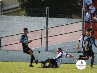 
<a style='margin-left: 5px;' class='btn btn-xs btn-social btn-facebook' href='https://www.facebook.com/sharer/sharer.php?u=https://www.boladovale.com.br/imgs/800-800-90/conteudo/fotos/1830/img8444.jpg' rel='popup' data-width='500' data-height='400'><i class='fa fa-facebook'></i>Compartilhar <span class='hidden-xs'>no Facebook</span>
</a> 
<a class='btn btn-default btn-xs' target='_blank' href='imgs/800-800-90/conteudo/fotos/1830/img8444.jpg'>
<span class='glyphicon glyphicon-cloud-download'></span> Salvar
</a> 
<span></span>