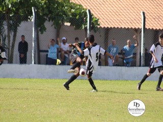 
<a style='margin-left: 5px;' class='btn btn-xs btn-social btn-facebook' href='https://www.facebook.com/sharer/sharer.php?u=https://www.boladovale.com.br/imgs/800-800-90/conteudo/fotos/1830/img8447.jpg' rel='popup' data-width='500' data-height='400'><i class='fa fa-facebook'></i>Compartilhar <span class='hidden-xs'>no Facebook</span>
</a> 
<a class='btn btn-default btn-xs' target='_blank' href='imgs/800-800-90/conteudo/fotos/1830/img8447.jpg'>
<span class='glyphicon glyphicon-cloud-download'></span> Salvar
</a> 
<span></span>