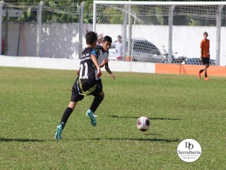 
<a style='margin-left: 5px;' class='btn btn-xs btn-social btn-facebook' href='https://www.facebook.com/sharer/sharer.php?u=https://www.boladovale.com.br/imgs/800-800-90/conteudo/fotos/1830/img8466.jpg' rel='popup' data-width='500' data-height='400'><i class='fa fa-facebook'></i>Compartilhar <span class='hidden-xs'>no Facebook</span>
</a> 
<a class='btn btn-default btn-xs' target='_blank' href='imgs/800-800-90/conteudo/fotos/1830/img8466.jpg'>
<span class='glyphicon glyphicon-cloud-download'></span> Salvar
</a> 
<span></span>