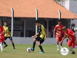 
<a style='margin-left: 5px;' class='btn btn-xs btn-social btn-facebook' href='https://www.facebook.com/sharer/sharer.php?u=https://www.boladovale.com.br/imgs/800-800-90/conteudo/fotos/1830/img8525.jpg' rel='popup' data-width='500' data-height='400'><i class='fa fa-facebook'></i>Compartilhar <span class='hidden-xs'>no Facebook</span>
</a> 
<a class='btn btn-default btn-xs' target='_blank' href='imgs/800-800-90/conteudo/fotos/1830/img8525.jpg'>
<span class='glyphicon glyphicon-cloud-download'></span> Salvar
</a> 
<span></span>