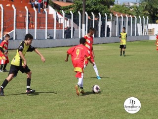 
<a style='margin-left: 5px;' class='btn btn-xs btn-social btn-facebook' href='https://www.facebook.com/sharer/sharer.php?u=https://www.boladovale.com.br/imgs/800-800-90/conteudo/fotos/1830/img8529.jpg' rel='popup' data-width='500' data-height='400'><i class='fa fa-facebook'></i>Compartilhar <span class='hidden-xs'>no Facebook</span>
</a> 
<a class='btn btn-default btn-xs' target='_blank' href='imgs/800-800-90/conteudo/fotos/1830/img8529.jpg'>
<span class='glyphicon glyphicon-cloud-download'></span> Salvar
</a> 
<span></span>