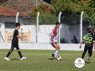 
<a style='margin-left: 5px;' class='btn btn-xs btn-social btn-facebook' href='https://www.facebook.com/sharer/sharer.php?u=https://www.boladovale.com.br/imgs/800-800-90/conteudo/fotos/1831/img8627.jpg' rel='popup' data-width='500' data-height='400'><i class='fa fa-facebook'></i>Compartilhar <span class='hidden-xs'>no Facebook</span>
</a> 
<a class='btn btn-default btn-xs' target='_blank' href='imgs/800-800-90/conteudo/fotos/1831/img8627.jpg'>
<span class='glyphicon glyphicon-cloud-download'></span> Salvar
</a> 
<span></span>