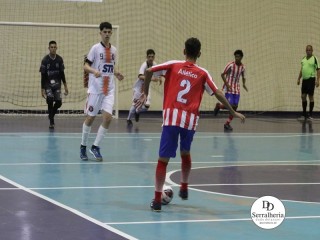 
<a style='margin-left: 5px;' class='btn btn-xs btn-social btn-facebook' href='https://www.facebook.com/sharer/sharer.php?u=https://www.boladovale.com.br/imgs/800-800-90/conteudo/fotos/1833/img8855.jpg' rel='popup' data-width='500' data-height='400'><i class='fa fa-facebook'></i>Compartilhar <span class='hidden-xs'>no Facebook</span>
</a> 
<a class='btn btn-default btn-xs' target='_blank' href='imgs/800-800-90/conteudo/fotos/1833/img8855.jpg'>
<span class='glyphicon glyphicon-cloud-download'></span> Salvar
</a> 
<span></span>