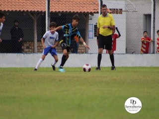 
<a style='margin-left: 5px;' class='btn btn-xs btn-social btn-facebook' href='https://www.facebook.com/sharer/sharer.php?u=https://www.boladovale.com.br/imgs/800-800-90/conteudo/fotos/1835/img9118.jpg' rel='popup' data-width='500' data-height='400'><i class='fa fa-facebook'></i>Compartilhar <span class='hidden-xs'>no Facebook</span>
</a> 
<a class='btn btn-default btn-xs' target='_blank' href='imgs/800-800-90/conteudo/fotos/1835/img9118.jpg'>
<span class='glyphicon glyphicon-cloud-download'></span> Salvar
</a> 
<span></span>