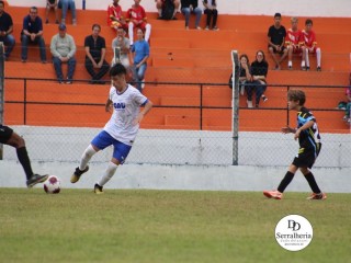 
<a style='margin-left: 5px;' class='btn btn-xs btn-social btn-facebook' href='https://www.facebook.com/sharer/sharer.php?u=https://www.boladovale.com.br/imgs/800-800-90/conteudo/fotos/1835/img9123.jpg' rel='popup' data-width='500' data-height='400'><i class='fa fa-facebook'></i>Compartilhar <span class='hidden-xs'>no Facebook</span>
</a> 
<a class='btn btn-default btn-xs' target='_blank' href='imgs/800-800-90/conteudo/fotos/1835/img9123.jpg'>
<span class='glyphicon glyphicon-cloud-download'></span> Salvar
</a> 
<span></span>