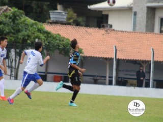 
<a style='margin-left: 5px;' class='btn btn-xs btn-social btn-facebook' href='https://www.facebook.com/sharer/sharer.php?u=https://www.boladovale.com.br/imgs/800-800-90/conteudo/fotos/1835/img9139.jpg' rel='popup' data-width='500' data-height='400'><i class='fa fa-facebook'></i>Compartilhar <span class='hidden-xs'>no Facebook</span>
</a> 
<a class='btn btn-default btn-xs' target='_blank' href='imgs/800-800-90/conteudo/fotos/1835/img9139.jpg'>
<span class='glyphicon glyphicon-cloud-download'></span> Salvar
</a> 
<span></span>