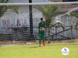 
<a style='margin-left: 5px;' class='btn btn-xs btn-social btn-facebook' href='https://www.facebook.com/sharer/sharer.php?u=https://www.boladovale.com.br/imgs/800-800-90/conteudo/fotos/1839/img9641.jpg' rel='popup' data-width='500' data-height='400'><i class='fa fa-facebook'></i>Compartilhar <span class='hidden-xs'>no Facebook</span>
</a> 
<a class='btn btn-default btn-xs' target='_blank' href='imgs/800-800-90/conteudo/fotos/1839/img9641.jpg'>
<span class='glyphicon glyphicon-cloud-download'></span> Salvar
</a> 
<span></span>