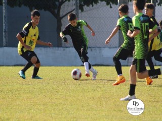
<a style='margin-left: 5px;' class='btn btn-xs btn-social btn-facebook' href='https://www.facebook.com/sharer/sharer.php?u=https://www.boladovale.com.br/imgs/800-800-90/conteudo/fotos/1840/img9883.jpg' rel='popup' data-width='500' data-height='400'><i class='fa fa-facebook'></i>Compartilhar <span class='hidden-xs'>no Facebook</span>
</a> 
<a class='btn btn-default btn-xs' target='_blank' href='imgs/800-800-90/conteudo/fotos/1840/img9883.jpg'>
<span class='glyphicon glyphicon-cloud-download'></span> Salvar
</a> 
<span></span>