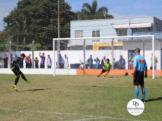 
<a style='margin-left: 5px;' class='btn btn-xs btn-social btn-facebook' href='https://www.facebook.com/sharer/sharer.php?u=https://www.boladovale.com.br/imgs/800-800-90/conteudo/fotos/1841/img0322.jpg' rel='popup' data-width='500' data-height='400'><i class='fa fa-facebook'></i>Compartilhar <span class='hidden-xs'>no Facebook</span>
</a> 
<a class='btn btn-default btn-xs' target='_blank' href='imgs/800-800-90/conteudo/fotos/1841/img0322.jpg'>
<span class='glyphicon glyphicon-cloud-download'></span> Salvar
</a> 
<span></span>