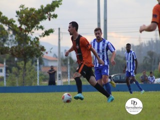 
<a style='margin-left: 5px;' class='btn btn-xs btn-social btn-facebook' href='https://www.facebook.com/sharer/sharer.php?u=https://www.boladovale.com.br/imgs/800-800-90/conteudo/fotos/1846/img1158.jpg' rel='popup' data-width='500' data-height='400'><i class='fa fa-facebook'></i>Compartilhar <span class='hidden-xs'>no Facebook</span>
</a> 
<a class='btn btn-default btn-xs' target='_blank' href='imgs/800-800-90/conteudo/fotos/1846/img1158.jpg'>
<span class='glyphicon glyphicon-cloud-download'></span> Salvar
</a> 
<span></span>