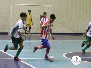 
<a style='margin-left: 5px;' class='btn btn-xs btn-social btn-facebook' href='https://www.facebook.com/sharer/sharer.php?u=https://www.boladovale.com.br/imgs/800-800-90/conteudo/fotos/1857/img2879.jpg' rel='popup' data-width='500' data-height='400'><i class='fa fa-facebook'></i>Compartilhar <span class='hidden-xs'>no Facebook</span>
</a> 
<a class='btn btn-default btn-xs' target='_blank' href='imgs/800-800-90/conteudo/fotos/1857/img2879.jpg'>
<span class='glyphicon glyphicon-cloud-download'></span> Salvar
</a> 
<span></span>