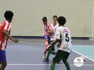 
<a style='margin-left: 5px;' class='btn btn-xs btn-social btn-facebook' href='https://www.facebook.com/sharer/sharer.php?u=https://www.boladovale.com.br/imgs/800-800-90/conteudo/fotos/1857/img2881.jpg' rel='popup' data-width='500' data-height='400'><i class='fa fa-facebook'></i>Compartilhar <span class='hidden-xs'>no Facebook</span>
</a> 
<a class='btn btn-default btn-xs' target='_blank' href='imgs/800-800-90/conteudo/fotos/1857/img2881.jpg'>
<span class='glyphicon glyphicon-cloud-download'></span> Salvar
</a> 
<span></span>