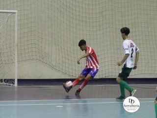 
<a style='margin-left: 5px;' class='btn btn-xs btn-social btn-facebook' href='https://www.facebook.com/sharer/sharer.php?u=https://www.boladovale.com.br/imgs/800-800-90/conteudo/fotos/1857/img2891.jpg' rel='popup' data-width='500' data-height='400'><i class='fa fa-facebook'></i>Compartilhar <span class='hidden-xs'>no Facebook</span>
</a> 
<a class='btn btn-default btn-xs' target='_blank' href='imgs/800-800-90/conteudo/fotos/1857/img2891.jpg'>
<span class='glyphicon glyphicon-cloud-download'></span> Salvar
</a> 
<span></span>