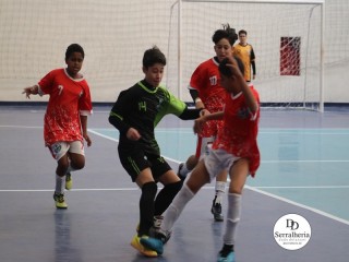 
<a style='margin-left: 5px;' class='btn btn-xs btn-social btn-facebook' href='https://www.facebook.com/sharer/sharer.php?u=https://www.boladovale.com.br/imgs/800-800-90/conteudo/fotos/1878/img8388.jpg' rel='popup' data-width='500' data-height='400'><i class='fa fa-facebook'></i>Compartilhar <span class='hidden-xs'>no Facebook</span>
</a> 
<a class='btn btn-default btn-xs' target='_blank' href='imgs/800-800-90/conteudo/fotos/1878/img8388.jpg'>
<span class='glyphicon glyphicon-cloud-download'></span> Salvar
</a> 
<span></span>