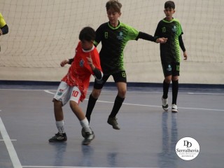 
<a style='margin-left: 5px;' class='btn btn-xs btn-social btn-facebook' href='https://www.facebook.com/sharer/sharer.php?u=https://www.boladovale.com.br/imgs/800-800-90/conteudo/fotos/1878/img8389.jpg' rel='popup' data-width='500' data-height='400'><i class='fa fa-facebook'></i>Compartilhar <span class='hidden-xs'>no Facebook</span>
</a> 
<a class='btn btn-default btn-xs' target='_blank' href='imgs/800-800-90/conteudo/fotos/1878/img8389.jpg'>
<span class='glyphicon glyphicon-cloud-download'></span> Salvar
</a> 
<span></span>