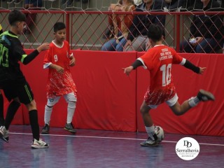 
<a style='margin-left: 5px;' class='btn btn-xs btn-social btn-facebook' href='https://www.facebook.com/sharer/sharer.php?u=https://www.boladovale.com.br/imgs/800-800-90/conteudo/fotos/1878/img8406.jpg' rel='popup' data-width='500' data-height='400'><i class='fa fa-facebook'></i>Compartilhar <span class='hidden-xs'>no Facebook</span>
</a> 
<a class='btn btn-default btn-xs' target='_blank' href='imgs/800-800-90/conteudo/fotos/1878/img8406.jpg'>
<span class='glyphicon glyphicon-cloud-download'></span> Salvar
</a> 
<span></span>