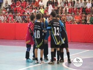 
<a style='margin-left: 5px;' class='btn btn-xs btn-social btn-facebook' href='https://www.facebook.com/sharer/sharer.php?u=https://www.boladovale.com.br/imgs/800-800-90/conteudo/fotos/1888/img9760.jpg' rel='popup' data-width='500' data-height='400'><i class='fa fa-facebook'></i>Compartilhar <span class='hidden-xs'>no Facebook</span>
</a> 
<a class='btn btn-default btn-xs' target='_blank' href='imgs/800-800-90/conteudo/fotos/1888/img9760.jpg'>
<span class='glyphicon glyphicon-cloud-download'></span> Salvar
</a> 
<span></span>