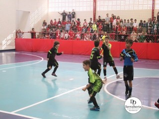 
<a style='margin-left: 5px;' class='btn btn-xs btn-social btn-facebook' href='https://www.facebook.com/sharer/sharer.php?u=https://www.boladovale.com.br/imgs/800-800-90/conteudo/fotos/1888/img9867.jpg' rel='popup' data-width='500' data-height='400'><i class='fa fa-facebook'></i>Compartilhar <span class='hidden-xs'>no Facebook</span>
</a> 
<a class='btn btn-default btn-xs' target='_blank' href='imgs/800-800-90/conteudo/fotos/1888/img9867.jpg'>
<span class='glyphicon glyphicon-cloud-download'></span> Salvar
</a> 
<span></span>