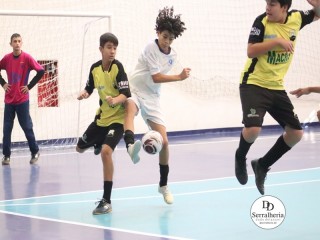 
<a style='margin-left: 5px;' class='btn btn-xs btn-social btn-facebook' href='https://www.facebook.com/sharer/sharer.php?u=https://www.boladovale.com.br/imgs/800-800-90/conteudo/fotos/1889/img9999-41.jpg' rel='popup' data-width='500' data-height='400'><i class='fa fa-facebook'></i>Compartilhar <span class='hidden-xs'>no Facebook</span>
</a> 
<a class='btn btn-default btn-xs' target='_blank' href='imgs/800-800-90/conteudo/fotos/1889/img9999-41.jpg'>
<span class='glyphicon glyphicon-cloud-download'></span> Salvar
</a> 
<span></span>