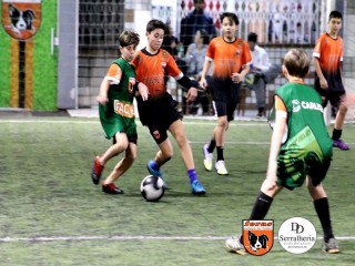 
<a style='margin-left: 5px;' class='btn btn-xs btn-social btn-facebook' href='https://www.facebook.com/sharer/sharer.php?u=https://www.boladovale.com.br/imgs/800-800-90/conteudo/fotos/1899/img3199.jpg' rel='popup' data-width='500' data-height='400'><i class='fa fa-facebook'></i>Compartilhar <span class='hidden-xs'>no Facebook</span>
</a> 
<a class='btn btn-default btn-xs' target='_blank' href='imgs/800-800-90/conteudo/fotos/1899/img3199.jpg'>
<span class='glyphicon glyphicon-cloud-download'></span> Salvar
</a> 
<span></span>