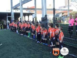 
<a style='margin-left: 5px;' class='btn btn-xs btn-social btn-facebook' href='https://www.facebook.com/sharer/sharer.php?u=https://www.boladovale.com.br/imgs/800-800-90/conteudo/fotos/1900/img3613.jpg' rel='popup' data-width='500' data-height='400'><i class='fa fa-facebook'></i>Compartilhar <span class='hidden-xs'>no Facebook</span>
</a> 
<a class='btn btn-default btn-xs' target='_blank' href='imgs/800-800-90/conteudo/fotos/1900/img3613.jpg'>
<span class='glyphicon glyphicon-cloud-download'></span> Salvar
</a> 
<span></span>