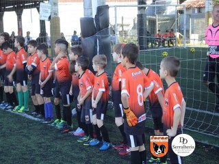 
<a style='margin-left: 5px;' class='btn btn-xs btn-social btn-facebook' href='https://www.facebook.com/sharer/sharer.php?u=https://www.boladovale.com.br/imgs/800-800-90/conteudo/fotos/1900/img3615.jpg' rel='popup' data-width='500' data-height='400'><i class='fa fa-facebook'></i>Compartilhar <span class='hidden-xs'>no Facebook</span>
</a> 
<a class='btn btn-default btn-xs' target='_blank' href='imgs/800-800-90/conteudo/fotos/1900/img3615.jpg'>
<span class='glyphicon glyphicon-cloud-download'></span> Salvar
</a> 
<span></span>