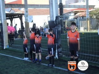 
<a style='margin-left: 5px;' class='btn btn-xs btn-social btn-facebook' href='https://www.facebook.com/sharer/sharer.php?u=https://www.boladovale.com.br/imgs/800-800-90/conteudo/fotos/1900/img3620.jpg' rel='popup' data-width='500' data-height='400'><i class='fa fa-facebook'></i>Compartilhar <span class='hidden-xs'>no Facebook</span>
</a> 
<a class='btn btn-default btn-xs' target='_blank' href='imgs/800-800-90/conteudo/fotos/1900/img3620.jpg'>
<span class='glyphicon glyphicon-cloud-download'></span> Salvar
</a> 
<span></span>