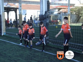 
<a style='margin-left: 5px;' class='btn btn-xs btn-social btn-facebook' href='https://www.facebook.com/sharer/sharer.php?u=https://www.boladovale.com.br/imgs/800-800-90/conteudo/fotos/1900/img3621.jpg' rel='popup' data-width='500' data-height='400'><i class='fa fa-facebook'></i>Compartilhar <span class='hidden-xs'>no Facebook</span>
</a> 
<a class='btn btn-default btn-xs' target='_blank' href='imgs/800-800-90/conteudo/fotos/1900/img3621.jpg'>
<span class='glyphicon glyphicon-cloud-download'></span> Salvar
</a> 
<span></span>