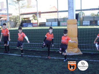 
<a style='margin-left: 5px;' class='btn btn-xs btn-social btn-facebook' href='https://www.facebook.com/sharer/sharer.php?u=https://www.boladovale.com.br/imgs/800-800-90/conteudo/fotos/1900/img3622.jpg' rel='popup' data-width='500' data-height='400'><i class='fa fa-facebook'></i>Compartilhar <span class='hidden-xs'>no Facebook</span>
</a> 
<a class='btn btn-default btn-xs' target='_blank' href='imgs/800-800-90/conteudo/fotos/1900/img3622.jpg'>
<span class='glyphicon glyphicon-cloud-download'></span> Salvar
</a> 
<span></span>