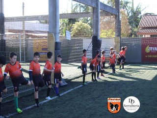 
<a style='margin-left: 5px;' class='btn btn-xs btn-social btn-facebook' href='https://www.facebook.com/sharer/sharer.php?u=https://www.boladovale.com.br/imgs/800-800-90/conteudo/fotos/1900/img3627.jpg' rel='popup' data-width='500' data-height='400'><i class='fa fa-facebook'></i>Compartilhar <span class='hidden-xs'>no Facebook</span>
</a> 
<a class='btn btn-default btn-xs' target='_blank' href='imgs/800-800-90/conteudo/fotos/1900/img3627.jpg'>
<span class='glyphicon glyphicon-cloud-download'></span> Salvar
</a> 
<span></span>