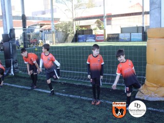 
<a style='margin-left: 5px;' class='btn btn-xs btn-social btn-facebook' href='https://www.facebook.com/sharer/sharer.php?u=https://www.boladovale.com.br/imgs/800-800-90/conteudo/fotos/1900/img3630.jpg' rel='popup' data-width='500' data-height='400'><i class='fa fa-facebook'></i>Compartilhar <span class='hidden-xs'>no Facebook</span>
</a> 
<a class='btn btn-default btn-xs' target='_blank' href='imgs/800-800-90/conteudo/fotos/1900/img3630.jpg'>
<span class='glyphicon glyphicon-cloud-download'></span> Salvar
</a> 
<span></span>