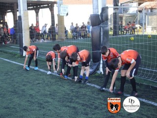 
<a style='margin-left: 5px;' class='btn btn-xs btn-social btn-facebook' href='https://www.facebook.com/sharer/sharer.php?u=https://www.boladovale.com.br/imgs/800-800-90/conteudo/fotos/1900/img3632.jpg' rel='popup' data-width='500' data-height='400'><i class='fa fa-facebook'></i>Compartilhar <span class='hidden-xs'>no Facebook</span>
</a> 
<a class='btn btn-default btn-xs' target='_blank' href='imgs/800-800-90/conteudo/fotos/1900/img3632.jpg'>
<span class='glyphicon glyphicon-cloud-download'></span> Salvar
</a> 
<span></span>