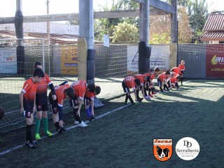 
<a style='margin-left: 5px;' class='btn btn-xs btn-social btn-facebook' href='https://www.facebook.com/sharer/sharer.php?u=https://www.boladovale.com.br/imgs/800-800-90/conteudo/fotos/1900/img3636.jpg' rel='popup' data-width='500' data-height='400'><i class='fa fa-facebook'></i>Compartilhar <span class='hidden-xs'>no Facebook</span>
</a> 
<a class='btn btn-default btn-xs' target='_blank' href='imgs/800-800-90/conteudo/fotos/1900/img3636.jpg'>
<span class='glyphicon glyphicon-cloud-download'></span> Salvar
</a> 
<span></span>
