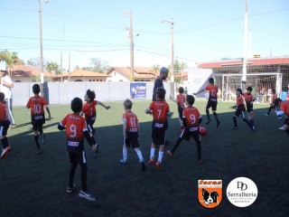 
<a style='margin-left: 5px;' class='btn btn-xs btn-social btn-facebook' href='https://www.facebook.com/sharer/sharer.php?u=https://www.boladovale.com.br/imgs/800-800-90/conteudo/fotos/1900/img3640.jpg' rel='popup' data-width='500' data-height='400'><i class='fa fa-facebook'></i>Compartilhar <span class='hidden-xs'>no Facebook</span>
</a> 
<a class='btn btn-default btn-xs' target='_blank' href='imgs/800-800-90/conteudo/fotos/1900/img3640.jpg'>
<span class='glyphicon glyphicon-cloud-download'></span> Salvar
</a> 
<span></span>