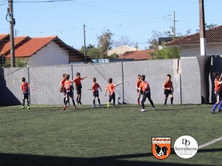 
<a style='margin-left: 5px;' class='btn btn-xs btn-social btn-facebook' href='https://www.facebook.com/sharer/sharer.php?u=https://www.boladovale.com.br/imgs/800-800-90/conteudo/fotos/1900/img3644.jpg' rel='popup' data-width='500' data-height='400'><i class='fa fa-facebook'></i>Compartilhar <span class='hidden-xs'>no Facebook</span>
</a> 
<a class='btn btn-default btn-xs' target='_blank' href='imgs/800-800-90/conteudo/fotos/1900/img3644.jpg'>
<span class='glyphicon glyphicon-cloud-download'></span> Salvar
</a> 
<span></span>