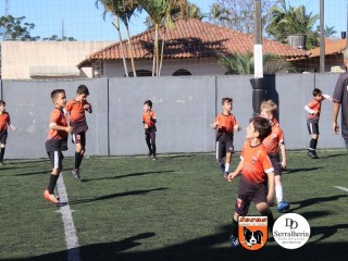 
<a style='margin-left: 5px;' class='btn btn-xs btn-social btn-facebook' href='https://www.facebook.com/sharer/sharer.php?u=https://www.boladovale.com.br/imgs/800-800-90/conteudo/fotos/1900/img3645.jpg' rel='popup' data-width='500' data-height='400'><i class='fa fa-facebook'></i>Compartilhar <span class='hidden-xs'>no Facebook</span>
</a> 
<a class='btn btn-default btn-xs' target='_blank' href='imgs/800-800-90/conteudo/fotos/1900/img3645.jpg'>
<span class='glyphicon glyphicon-cloud-download'></span> Salvar
</a> 
<span></span>