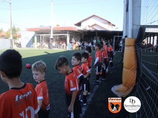 
<a style='margin-left: 5px;' class='btn btn-xs btn-social btn-facebook' href='https://www.facebook.com/sharer/sharer.php?u=https://www.boladovale.com.br/imgs/800-800-90/conteudo/fotos/1900/img3652.jpg' rel='popup' data-width='500' data-height='400'><i class='fa fa-facebook'></i>Compartilhar <span class='hidden-xs'>no Facebook</span>
</a> 
<a class='btn btn-default btn-xs' target='_blank' href='imgs/800-800-90/conteudo/fotos/1900/img3652.jpg'>
<span class='glyphicon glyphicon-cloud-download'></span> Salvar
</a> 
<span></span>
