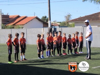 
<a style='margin-left: 5px;' class='btn btn-xs btn-social btn-facebook' href='https://www.facebook.com/sharer/sharer.php?u=https://www.boladovale.com.br/imgs/800-800-90/conteudo/fotos/1900/img3660.jpg' rel='popup' data-width='500' data-height='400'><i class='fa fa-facebook'></i>Compartilhar <span class='hidden-xs'>no Facebook</span>
</a> 
<a class='btn btn-default btn-xs' target='_blank' href='imgs/800-800-90/conteudo/fotos/1900/img3660.jpg'>
<span class='glyphicon glyphicon-cloud-download'></span> Salvar
</a> 
<span></span>