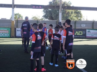 
<a style='margin-left: 5px;' class='btn btn-xs btn-social btn-facebook' href='https://www.facebook.com/sharer/sharer.php?u=https://www.boladovale.com.br/imgs/800-800-90/conteudo/fotos/1900/img3666.jpg' rel='popup' data-width='500' data-height='400'><i class='fa fa-facebook'></i>Compartilhar <span class='hidden-xs'>no Facebook</span>
</a> 
<a class='btn btn-default btn-xs' target='_blank' href='imgs/800-800-90/conteudo/fotos/1900/img3666.jpg'>
<span class='glyphicon glyphicon-cloud-download'></span> Salvar
</a> 
<span></span>