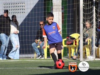 
<a style='margin-left: 5px;' class='btn btn-xs btn-social btn-facebook' href='https://www.facebook.com/sharer/sharer.php?u=https://www.boladovale.com.br/imgs/800-800-90/conteudo/fotos/1900/img3673.jpg' rel='popup' data-width='500' data-height='400'><i class='fa fa-facebook'></i>Compartilhar <span class='hidden-xs'>no Facebook</span>
</a> 
<a class='btn btn-default btn-xs' target='_blank' href='imgs/800-800-90/conteudo/fotos/1900/img3673.jpg'>
<span class='glyphicon glyphicon-cloud-download'></span> Salvar
</a> 
<span></span>
