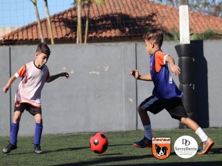 
<a style='margin-left: 5px;' class='btn btn-xs btn-social btn-facebook' href='https://www.facebook.com/sharer/sharer.php?u=https://www.boladovale.com.br/imgs/800-800-90/conteudo/fotos/1900/img3676.jpg' rel='popup' data-width='500' data-height='400'><i class='fa fa-facebook'></i>Compartilhar <span class='hidden-xs'>no Facebook</span>
</a> 
<a class='btn btn-default btn-xs' target='_blank' href='imgs/800-800-90/conteudo/fotos/1900/img3676.jpg'>
<span class='glyphicon glyphicon-cloud-download'></span> Salvar
</a> 
<span></span>