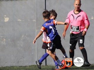 
<a style='margin-left: 5px;' class='btn btn-xs btn-social btn-facebook' href='https://www.facebook.com/sharer/sharer.php?u=https://www.boladovale.com.br/imgs/800-800-90/conteudo/fotos/1900/img3678.jpg' rel='popup' data-width='500' data-height='400'><i class='fa fa-facebook'></i>Compartilhar <span class='hidden-xs'>no Facebook</span>
</a> 
<a class='btn btn-default btn-xs' target='_blank' href='imgs/800-800-90/conteudo/fotos/1900/img3678.jpg'>
<span class='glyphicon glyphicon-cloud-download'></span> Salvar
</a> 
<span></span>