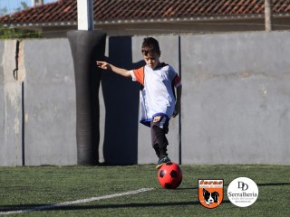 
<a style='margin-left: 5px;' class='btn btn-xs btn-social btn-facebook' href='https://www.facebook.com/sharer/sharer.php?u=https://www.boladovale.com.br/imgs/800-800-90/conteudo/fotos/1900/img3681.jpg' rel='popup' data-width='500' data-height='400'><i class='fa fa-facebook'></i>Compartilhar <span class='hidden-xs'>no Facebook</span>
</a> 
<a class='btn btn-default btn-xs' target='_blank' href='imgs/800-800-90/conteudo/fotos/1900/img3681.jpg'>
<span class='glyphicon glyphicon-cloud-download'></span> Salvar
</a> 
<span></span>