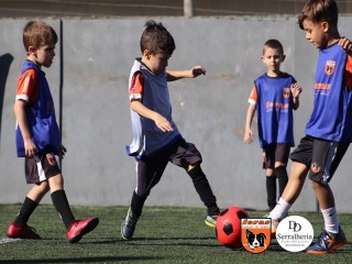 
<a style='margin-left: 5px;' class='btn btn-xs btn-social btn-facebook' href='https://www.facebook.com/sharer/sharer.php?u=https://www.boladovale.com.br/imgs/800-800-90/conteudo/fotos/1900/img3682.jpg' rel='popup' data-width='500' data-height='400'><i class='fa fa-facebook'></i>Compartilhar <span class='hidden-xs'>no Facebook</span>
</a> 
<a class='btn btn-default btn-xs' target='_blank' href='imgs/800-800-90/conteudo/fotos/1900/img3682.jpg'>
<span class='glyphicon glyphicon-cloud-download'></span> Salvar
</a> 
<span></span>