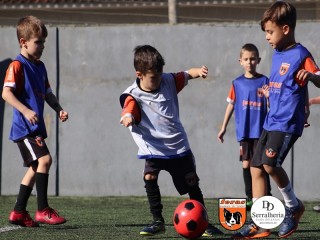 
<a style='margin-left: 5px;' class='btn btn-xs btn-social btn-facebook' href='https://www.facebook.com/sharer/sharer.php?u=https://www.boladovale.com.br/imgs/800-800-90/conteudo/fotos/1900/img3683.jpg' rel='popup' data-width='500' data-height='400'><i class='fa fa-facebook'></i>Compartilhar <span class='hidden-xs'>no Facebook</span>
</a> 
<a class='btn btn-default btn-xs' target='_blank' href='imgs/800-800-90/conteudo/fotos/1900/img3683.jpg'>
<span class='glyphicon glyphicon-cloud-download'></span> Salvar
</a> 
<span></span>