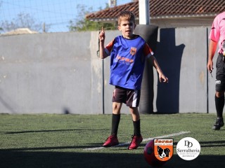 
<a style='margin-left: 5px;' class='btn btn-xs btn-social btn-facebook' href='https://www.facebook.com/sharer/sharer.php?u=https://www.boladovale.com.br/imgs/800-800-90/conteudo/fotos/1900/img3686.jpg' rel='popup' data-width='500' data-height='400'><i class='fa fa-facebook'></i>Compartilhar <span class='hidden-xs'>no Facebook</span>
</a> 
<a class='btn btn-default btn-xs' target='_blank' href='imgs/800-800-90/conteudo/fotos/1900/img3686.jpg'>
<span class='glyphicon glyphicon-cloud-download'></span> Salvar
</a> 
<span></span>